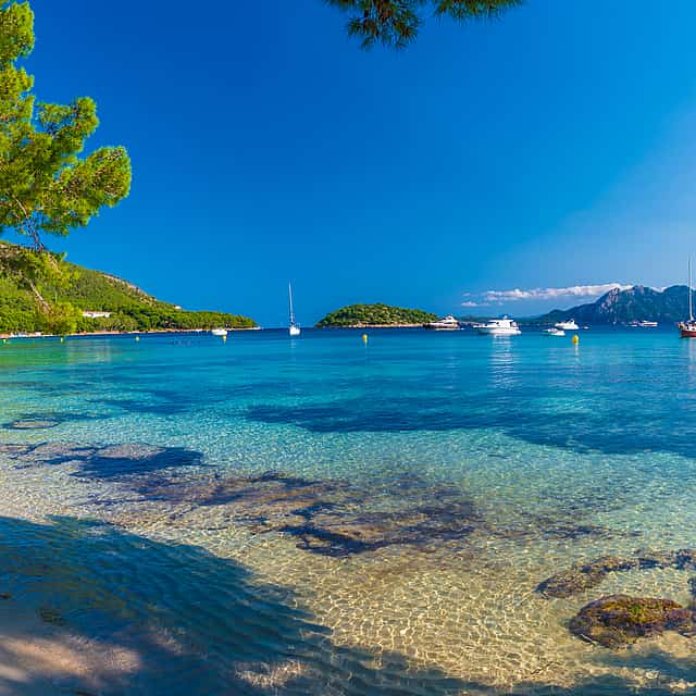Half-day Private Sailing Tour in Palma de Mallorca