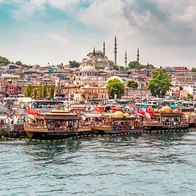 Bosphorus and Black Sea Cruise with Lunch