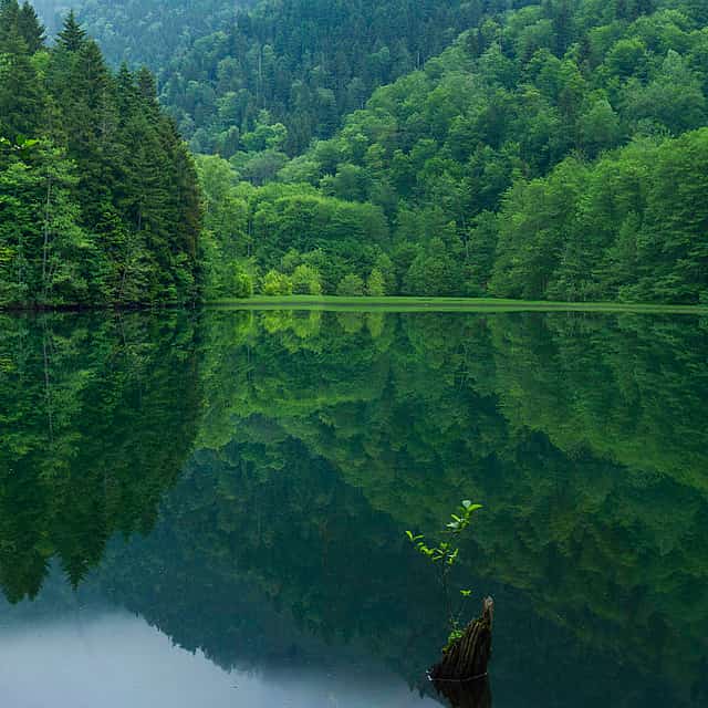 Bateti Lake Tour