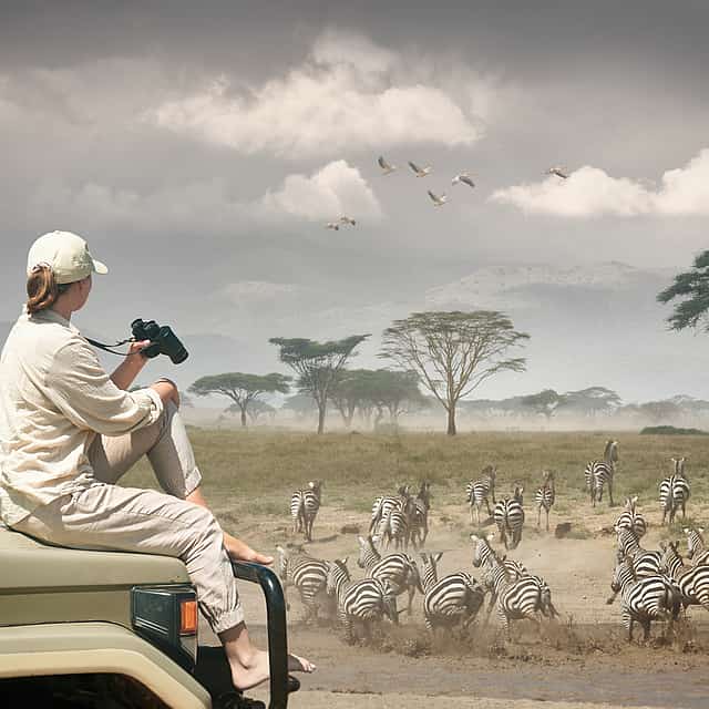 Safari nocturno en la reserva de caza de Aquila
