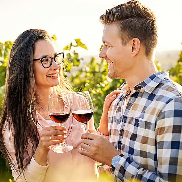 For Couple: Private Full-day Winelands Tour to Paarl