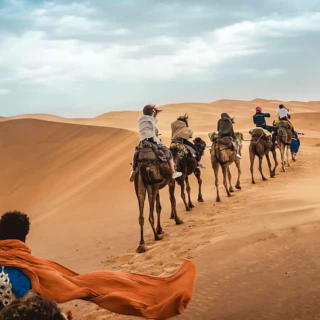 Excursión de 4 días por el desierto de Marrakech a Fez