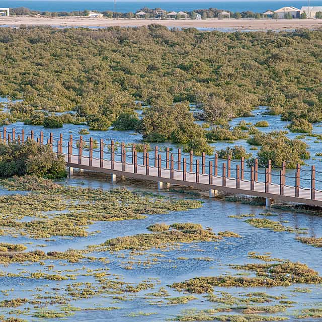 Dukhan and Zekreet Tour