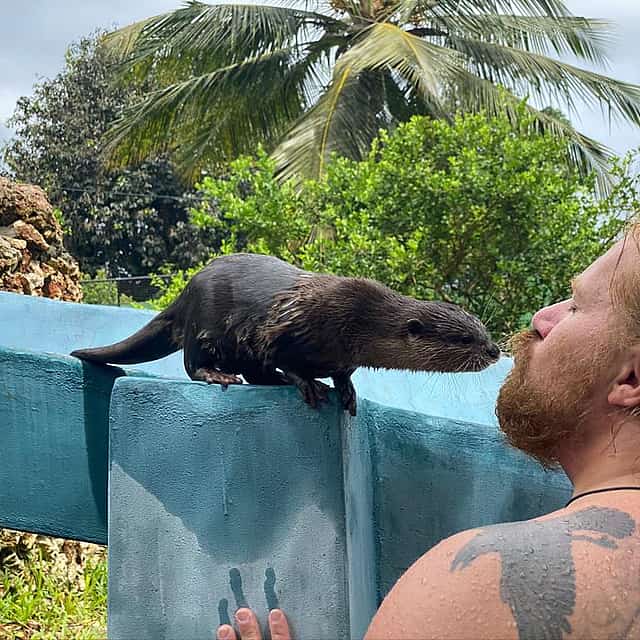 Amazing Otter Experience