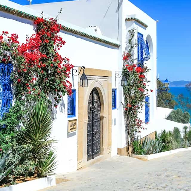 Cartago y Sidi Bou Said