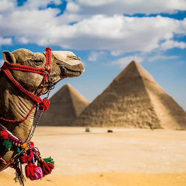 Full-day Giza Pyramids, Memphis and Saqqara Tour