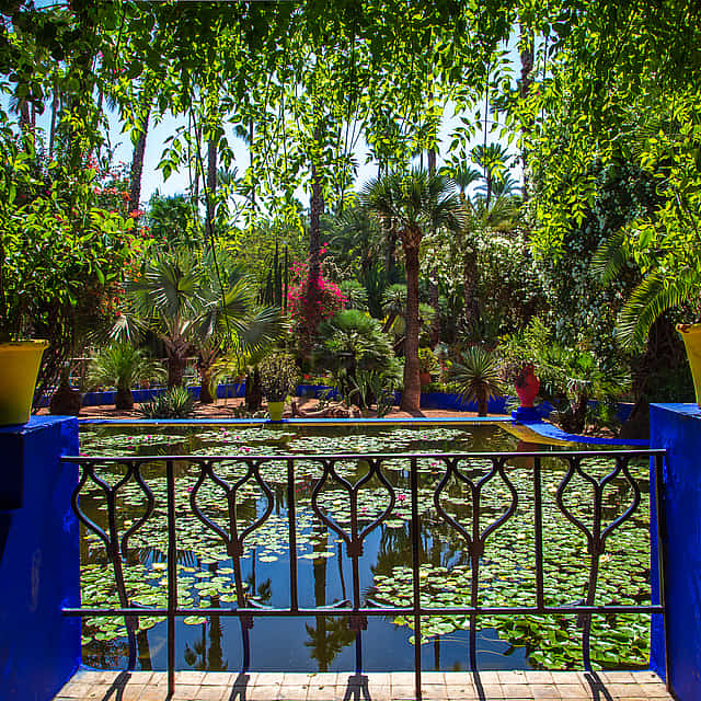 Privé Majorelle tuin en shopping tour in de oude stad souks
