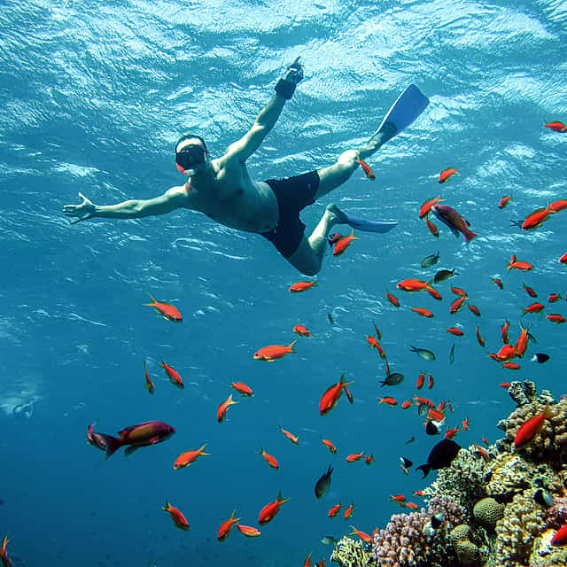 Snorkel en Dahab con paseo en camello y en quad