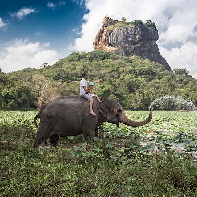 Private Elephant and Jeep Safari to Ancient Temples and Herbal Garden