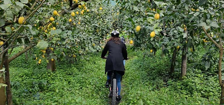 Foto 1 E-Bike-Tour in Sorrent mit Limoncello-Verkostung