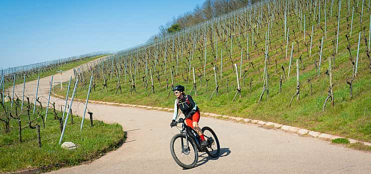 Foto 1 Ruta del vino Amarone en bicicleta eléctrica por Verona