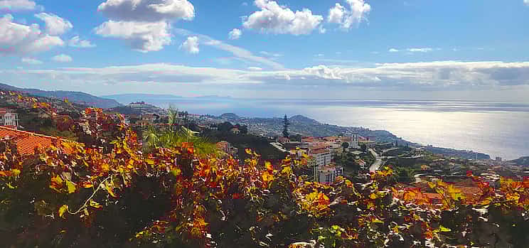 Photo 1 Northern Levada Half-day Walking Tour