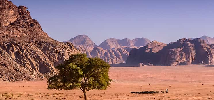 Photo 1 Full Day Jeep Tour and Hiking Wadi Rum Desert