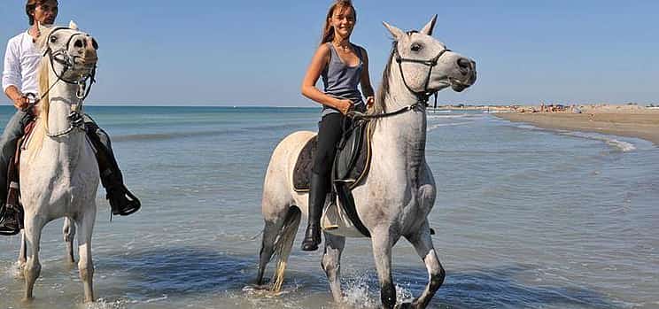Фото 1 Приключенческое сафари на лошадях в Шарм-эль-Шейхе