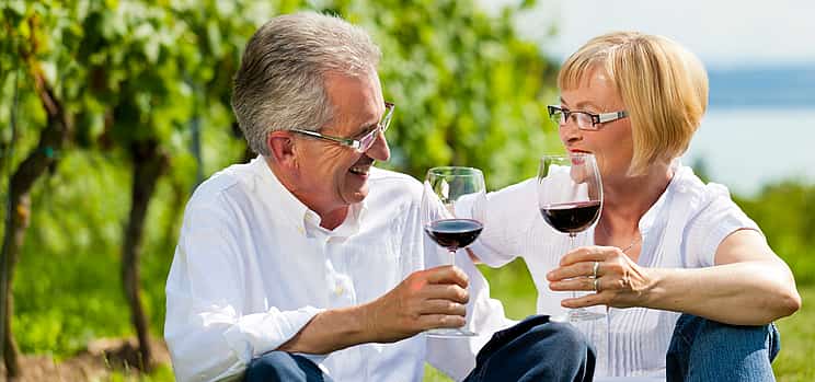 รูปภาพ 1 Private Full-day Stellenbosch or Franschhoek or Paarl Wine Tour from Cape Town