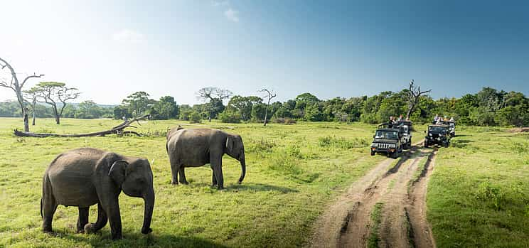 Photo 1 Private Jeep Safari to a National Park for a Couple