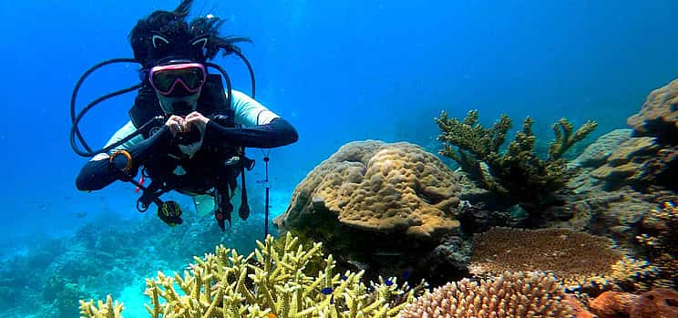 Foto 1 Curso Avanzado de Buceo en Hurghada