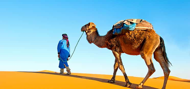 Foto 1 Abu Dhabi: Safari por el desierto de 6 horas con barbacoa, paseo en camello y Sandboarding