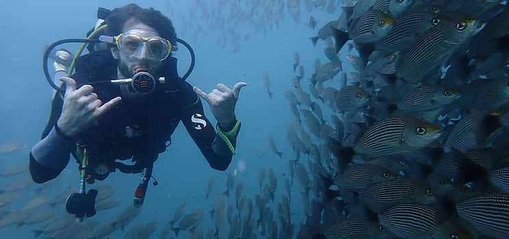 Photo 1 Scuba Diving at the Catalina Islands, Costa Rica