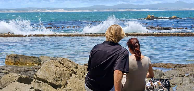 Fotografie 1 Private Shore Whale Watching Tour to Hermanus from Cape Town