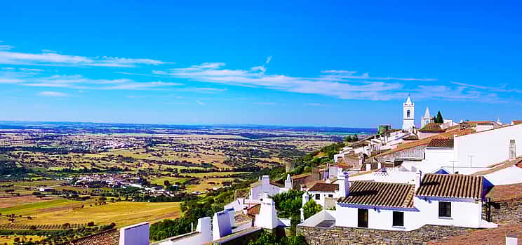 Foto 1 Taste Wine and Coffee in Portugal Tour