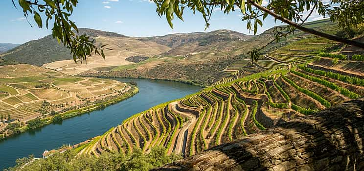 Foto 1 Douro-Tal Wein-Tour mit Boot und Mittagessen