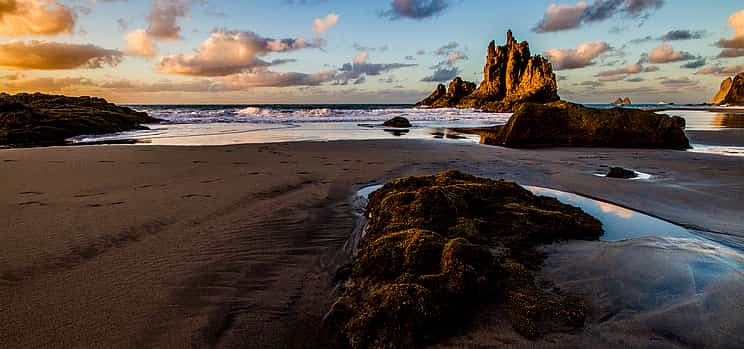 Photo 1 Half-day Private Tour Discovering Anaga Tenerife