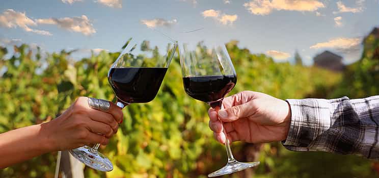 Photo 1 Private Half-day Tour with Cape Winelands, Stellenbosch