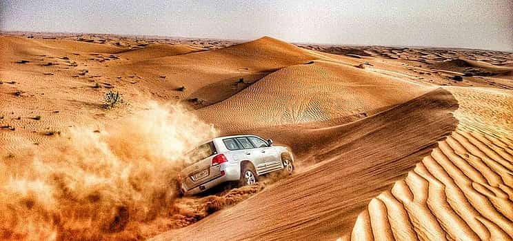 Photo 1 Private Tour: Desert Safari  with Dinner from Fujairah