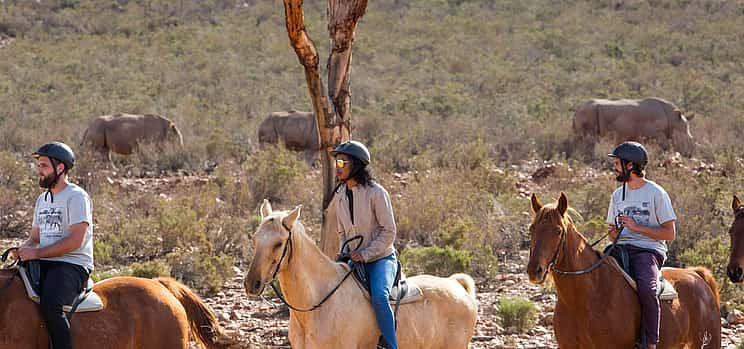 Foto 1 Safari a caballo de día completo en la Reserva de Caza de Aquila