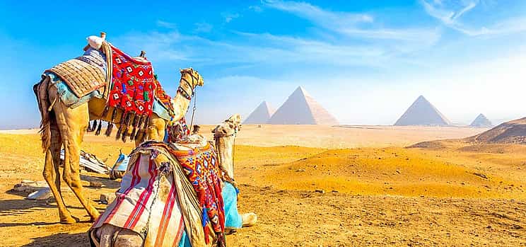Photo 1 Giza Pyramids with Camel Ride Half-day Tour