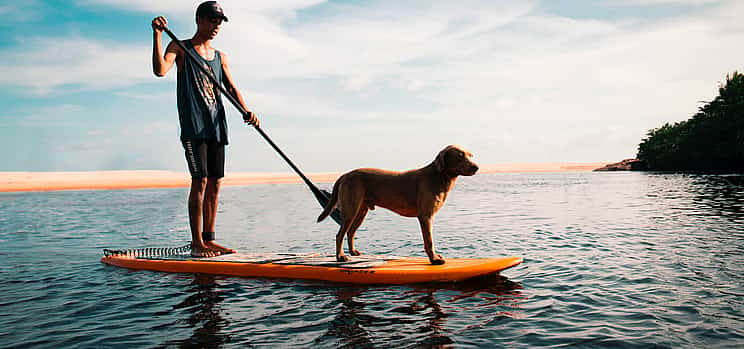 Фото 1 Албуфейра Stand-up Paddle