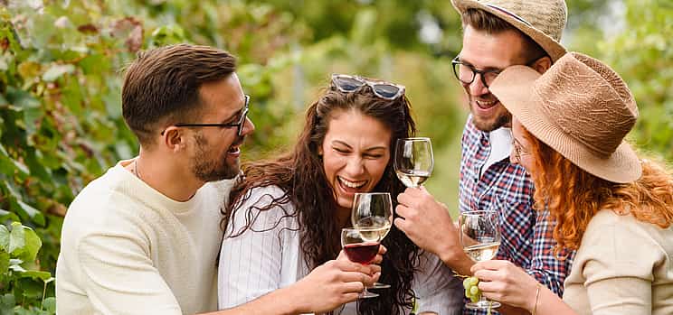 Photo 1 Carmignano Half-day Private Tour: Home of the First Cabernet-Sauvignon in Tuscany