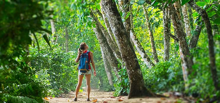 Foto 1 Cahuita-Nationalpark und Bananenplantagen-Tour ab Limon