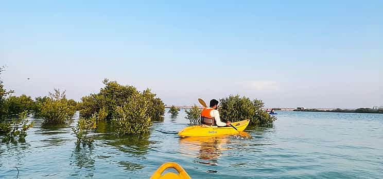 Photo 1 Mangrove Kayaking Adventure
