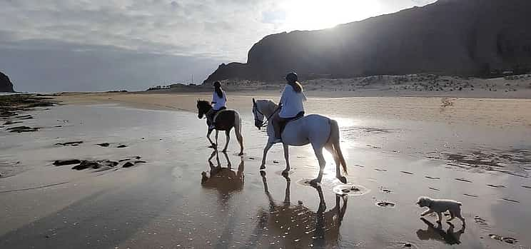 Photo 1 Sunset Horse Riding on the Beach Porto Santo Island