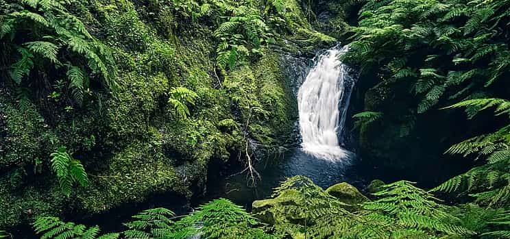 Photo 1 King's Levada, Hidden Corners Full-day Walking Tour