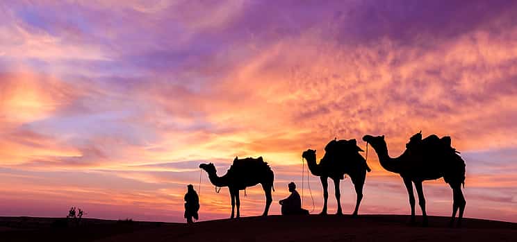 Photo 1 Desert Safari Dubai without Dune Bashing