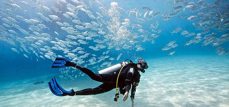 Photo 1 Dive Hurghada Open Water Course