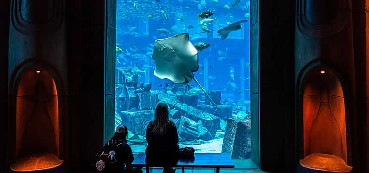 Photo 1 Admission Tickets to Dubai Aquaventure and Lost Chambers Aquarium