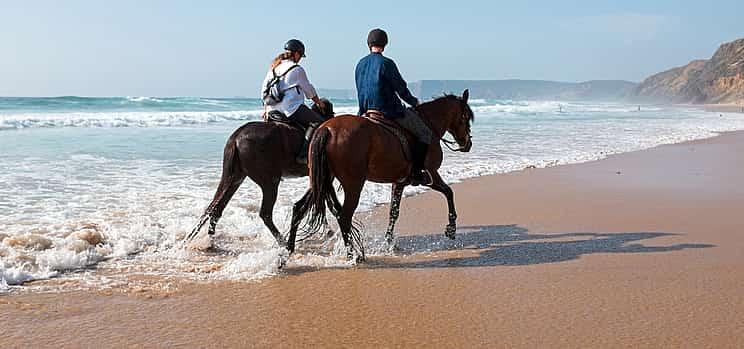 Foto 1 Agadir Reiten &amp; Flamingo Fluss