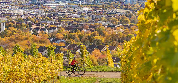 Foto 1 E-Bike-Tour ab Verona mit Amarone-Weinverkostung