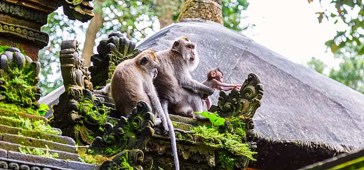 Photo 1 Bali Hidden Gems Tour