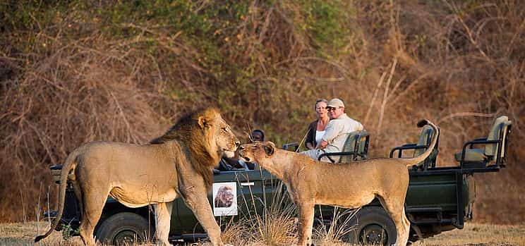 Foto 1 Excursión privada de un día a South Luangwa