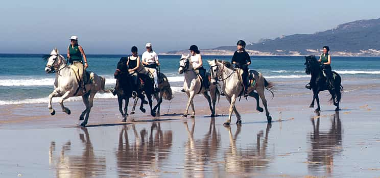 Фото 1 Paseos a caballo junto al mar