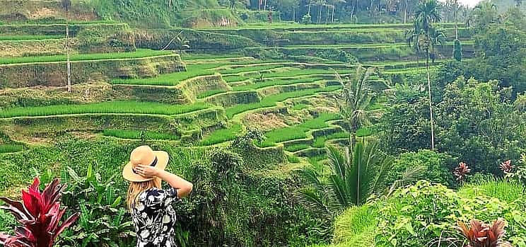 Fotoğraf 1 Ubud All Inclusive Tour: Best of Ubud