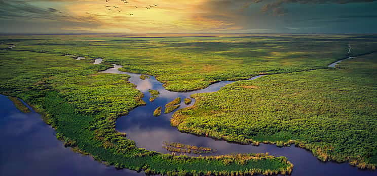 Photo 1 The Never Ending River of Grass