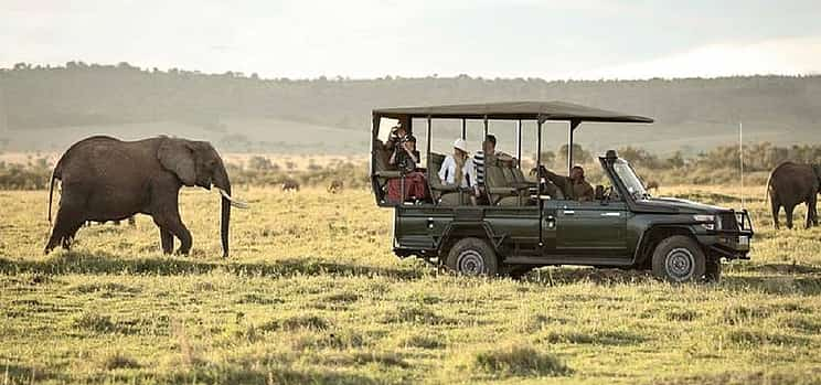 Foto 1 Desde Zanzíbar: Excursión privada de 2 días al safari Selous con vuelo