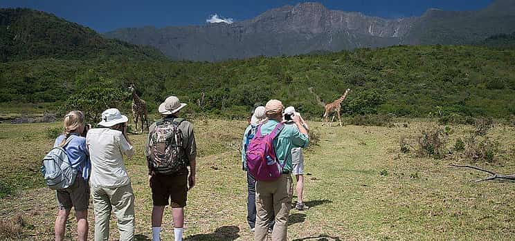 Foto 1 Excursión de día completo al Parque Nacional de Arusha