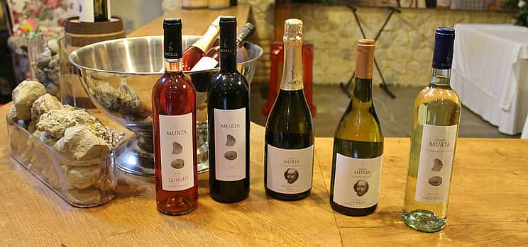Photo 1 Northern Lisbon Wine Tasting